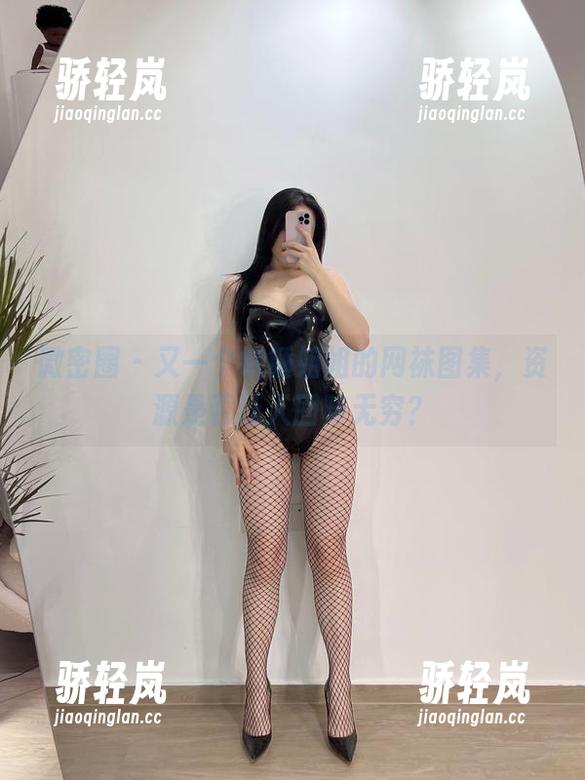 微密圈 - 又一个铁锤姐姐的网袜图集，资源是否让人回味无穷？
